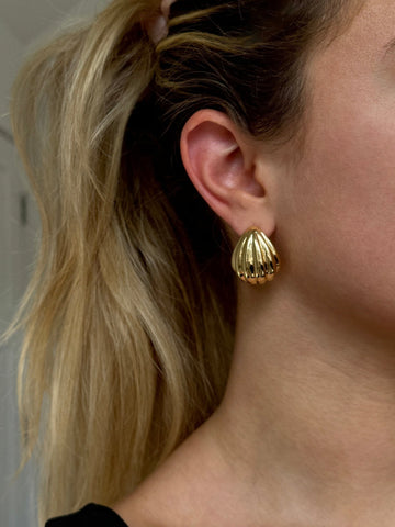 Shell Earrings